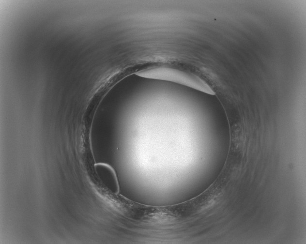 X0000062130544200512121218