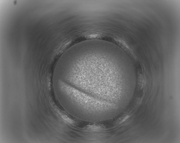 X0000062130545200512121218