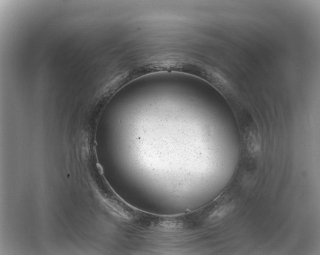 X0000062130546200512121218