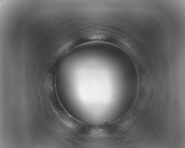 X0000062130547200512121218