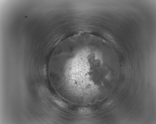 X0000062130549200512121218