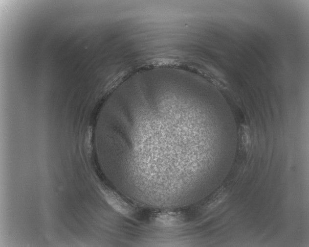 X0000062130550200512121218