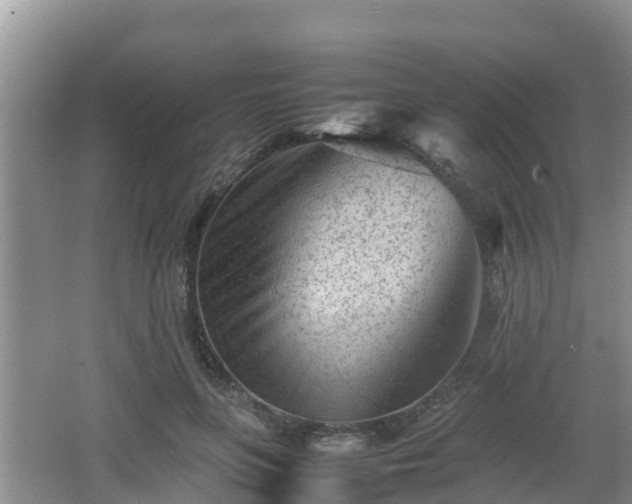 X0000062130551200512121218