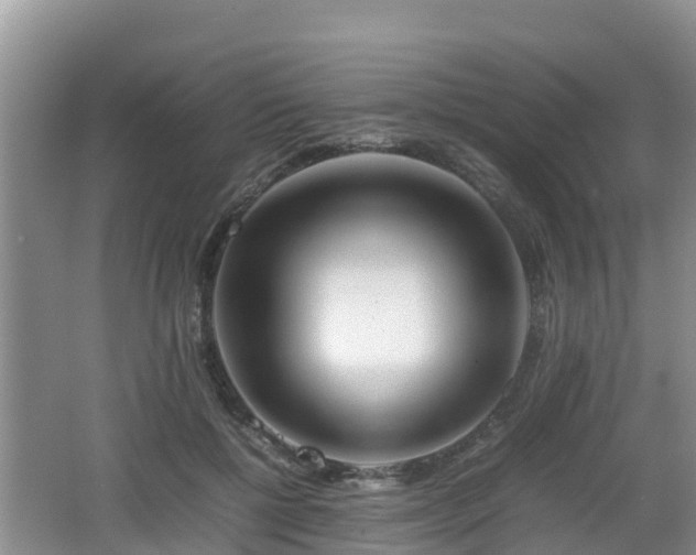 X0000062130552200512121218