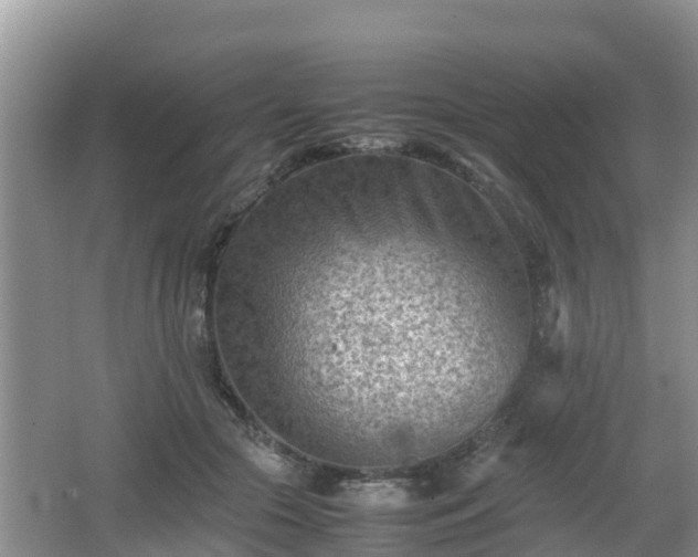 X0000062130553200512121218