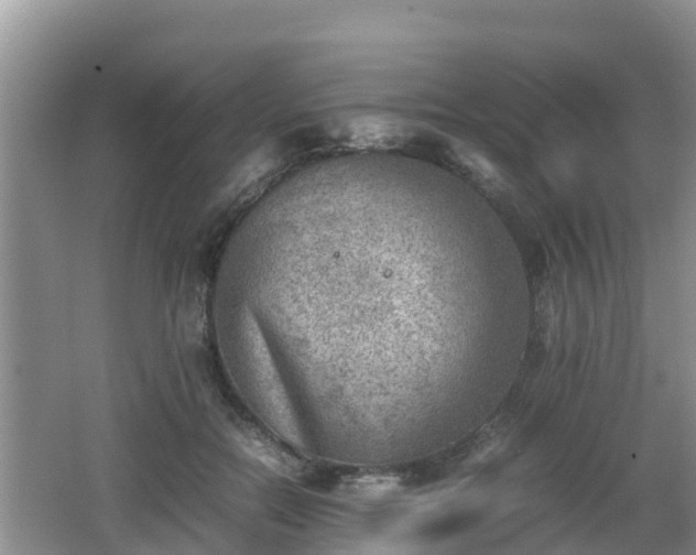 X0000062130554200512121218