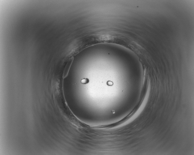 X0000062130556200512121218