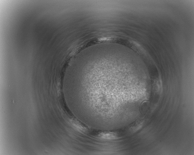 X0000062130557200512121218