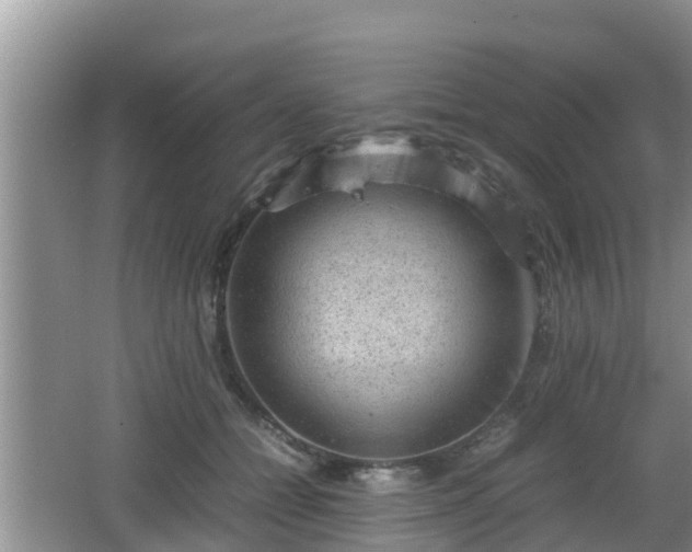 X0000062130558200512121218