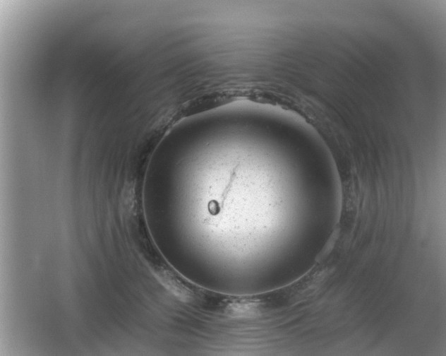 X0000062130560200512121218