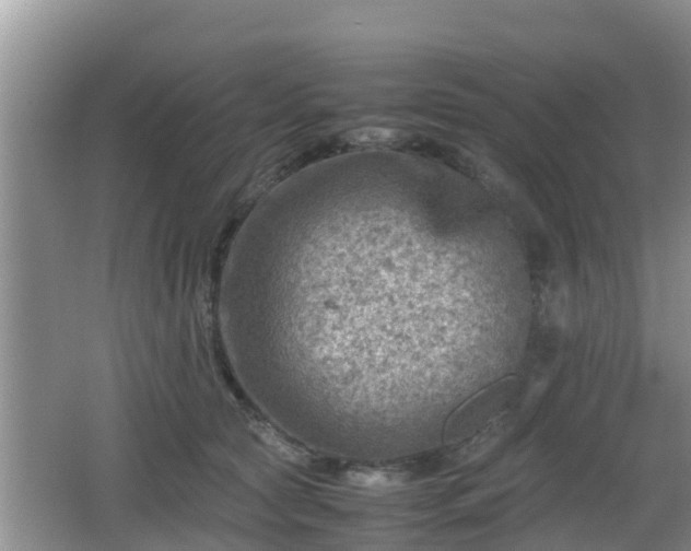 X0000062130561200512121218