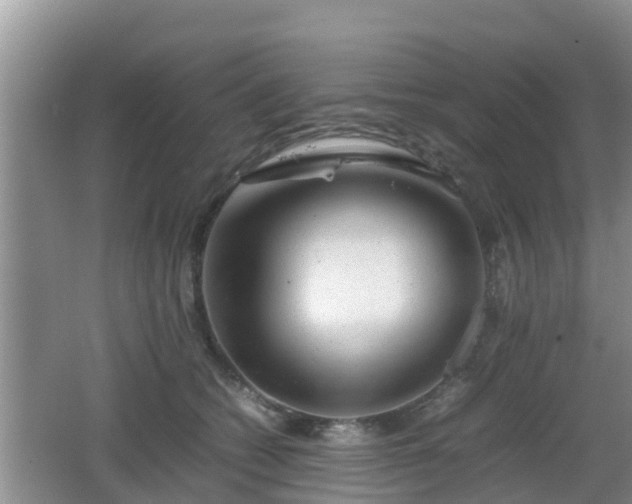 X0000062130562200512121218