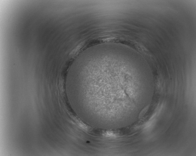 X0000062130565200512121218