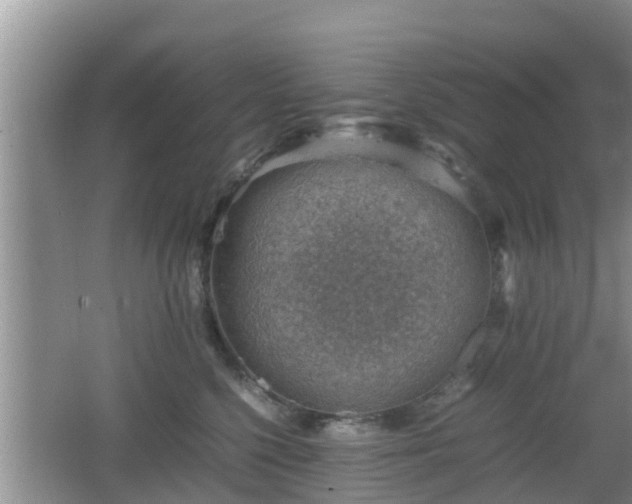 X0000062130568200512121218