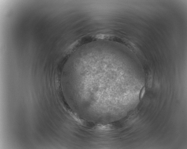 X0000062130569200512121218