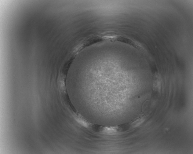 X0000062130573200512121218