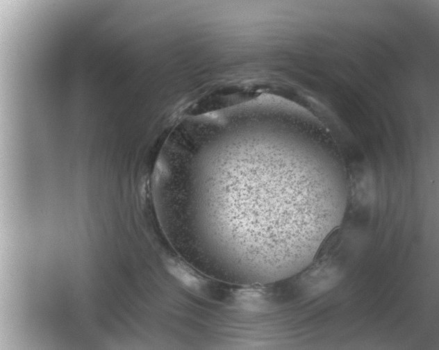 X0000062130574200512121218