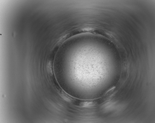 X0000062130575200512121218