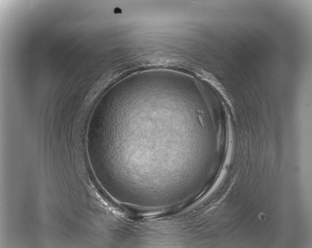 X0000062130577200512121218