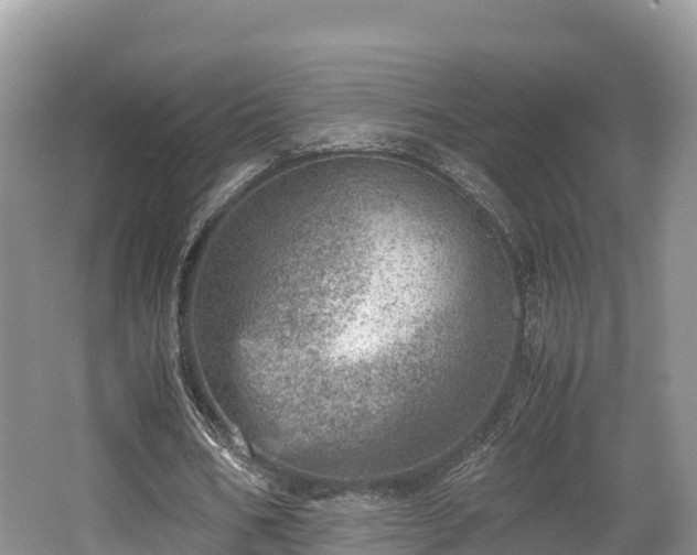 X0000062130578200512121218