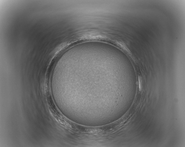 X0000062130579200512121218