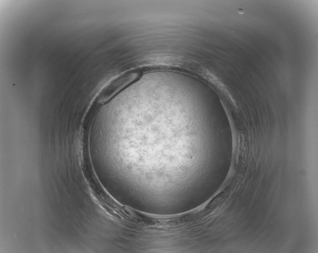 X0000062130580200512121218