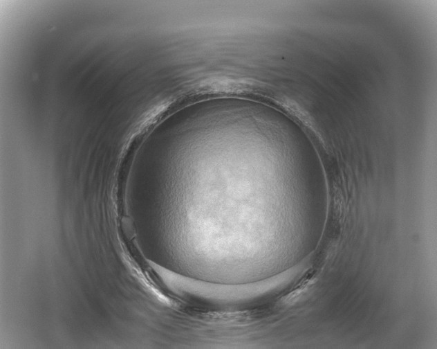 X0000062130581200512121218