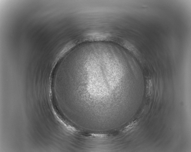 X0000062130582200512121218