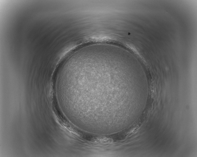 X0000062130583200512121218