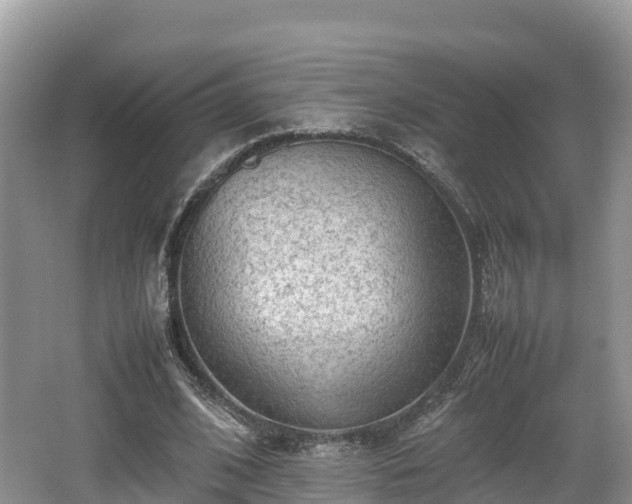 X0000062130584200512121218