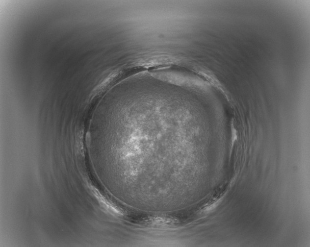 X0000062130585200512121217