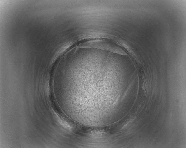 X0000062130586200512121217