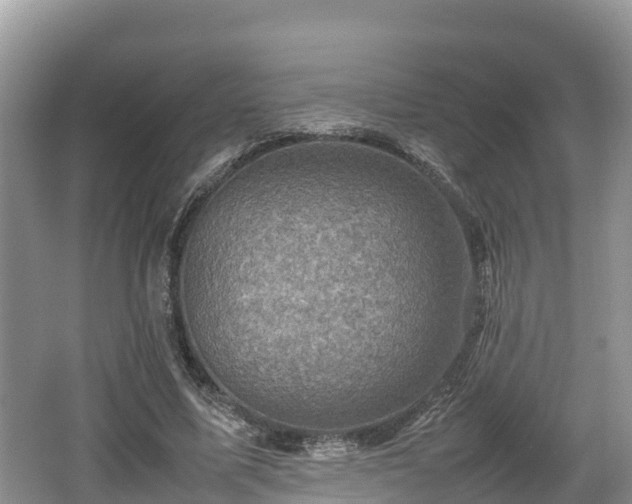 X0000062130587200512121217