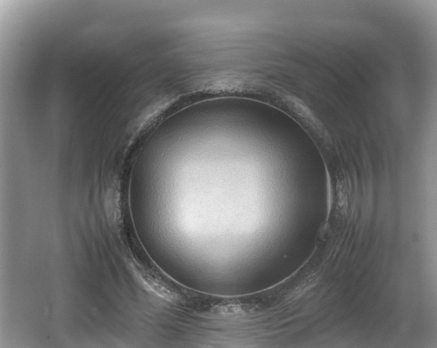 X0000062130588200512121217