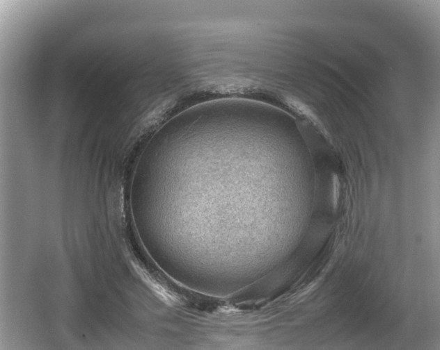 X0000062130589200512121217