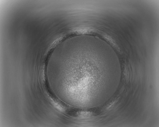 X0000062130590200512121217