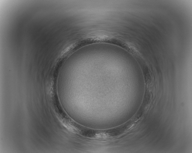 X0000062130591200512121217