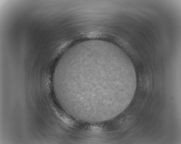 X0000062130592200512121217