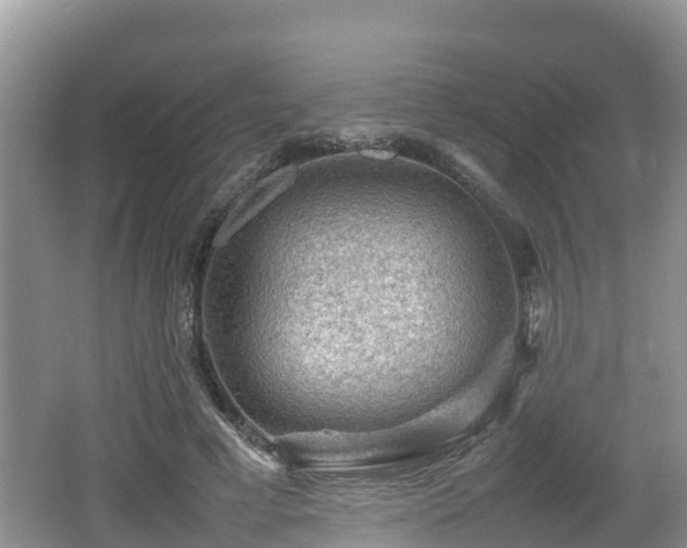 X0000062130593200512121217