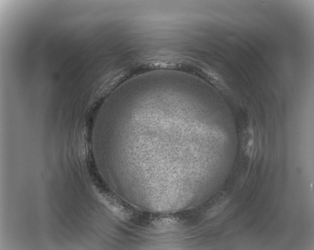 X0000062130594200512121217