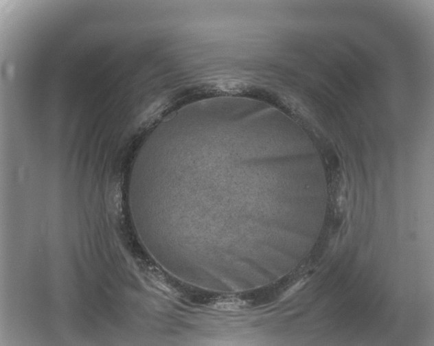 X0000062130595200512121217