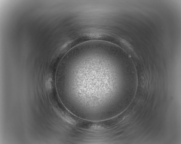 X0000062130596200512121217