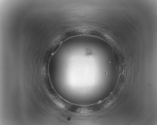 X0000062130597200512121217