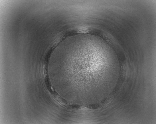 X0000062130598200512121217