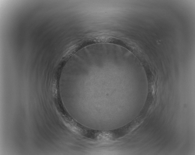 X0000062130599200512121217