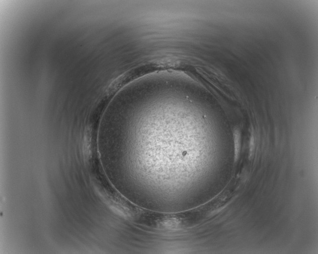 X0000062130600200512121217