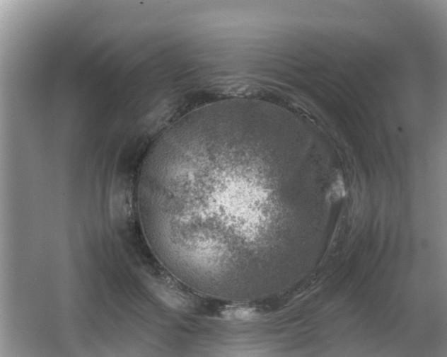 X0000062130602200512121217