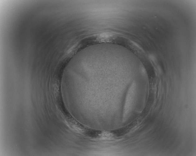 X0000062130603200512121217