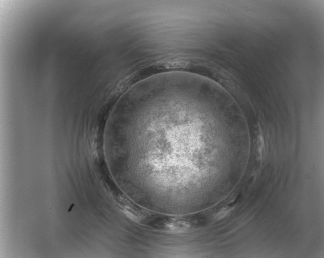 X0000062130604200512121217