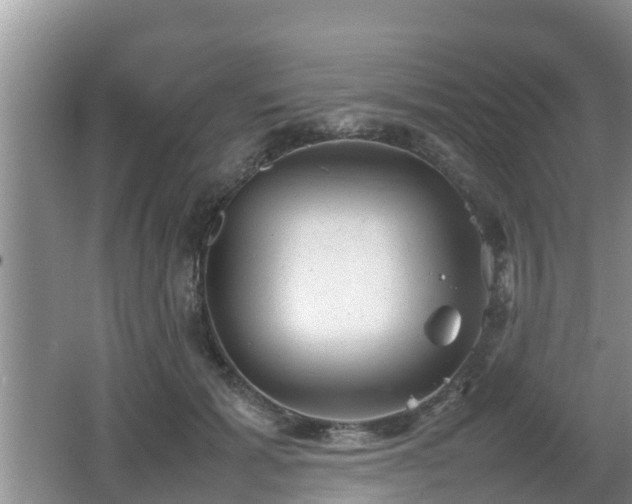 X0000062130605200512121217